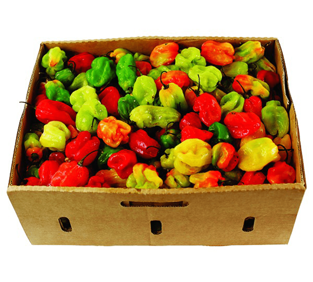 Habanero Pepper Box