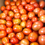 Roma Tomatoes 25 Lb